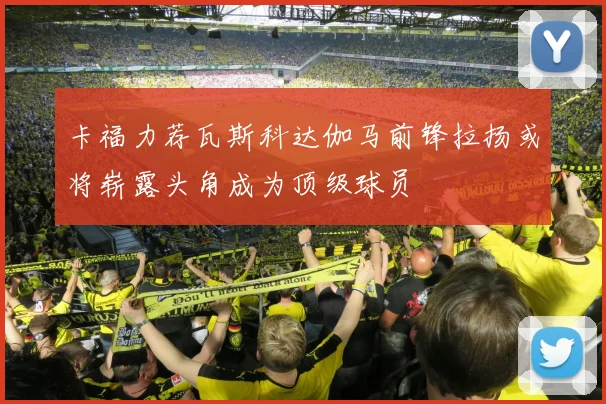 卡福力荐瓦斯科达伽马前锋拉扬或将崭露头角成为顶级球员
