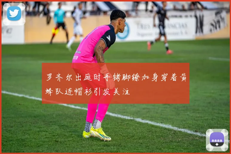 罗齐尔出庭时手铐脚镣加身穿着黄蜂队连帽衫引发关注