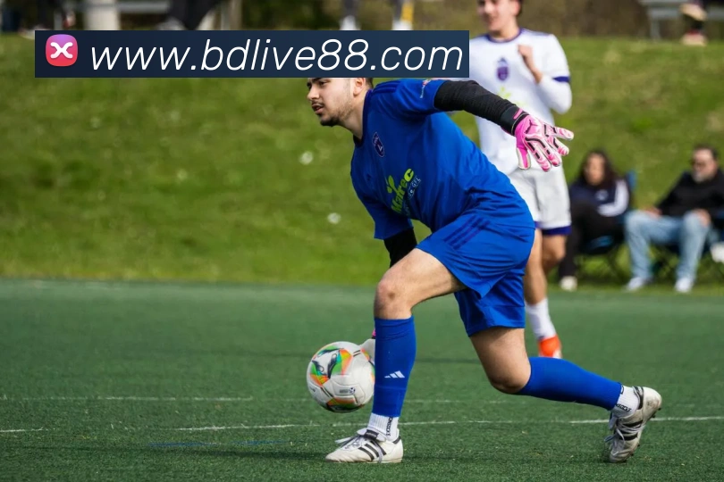 半岛体育APP 封面图